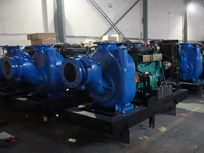 Pompes d'Assèchement à Moteur Diesel pour un Client Africain 